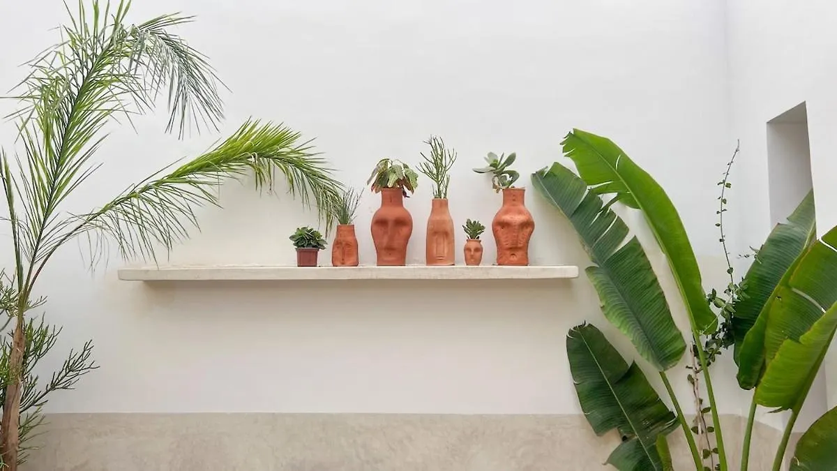 Holiday home Vasame Riad - Private Riad In The Medina Marrakesh